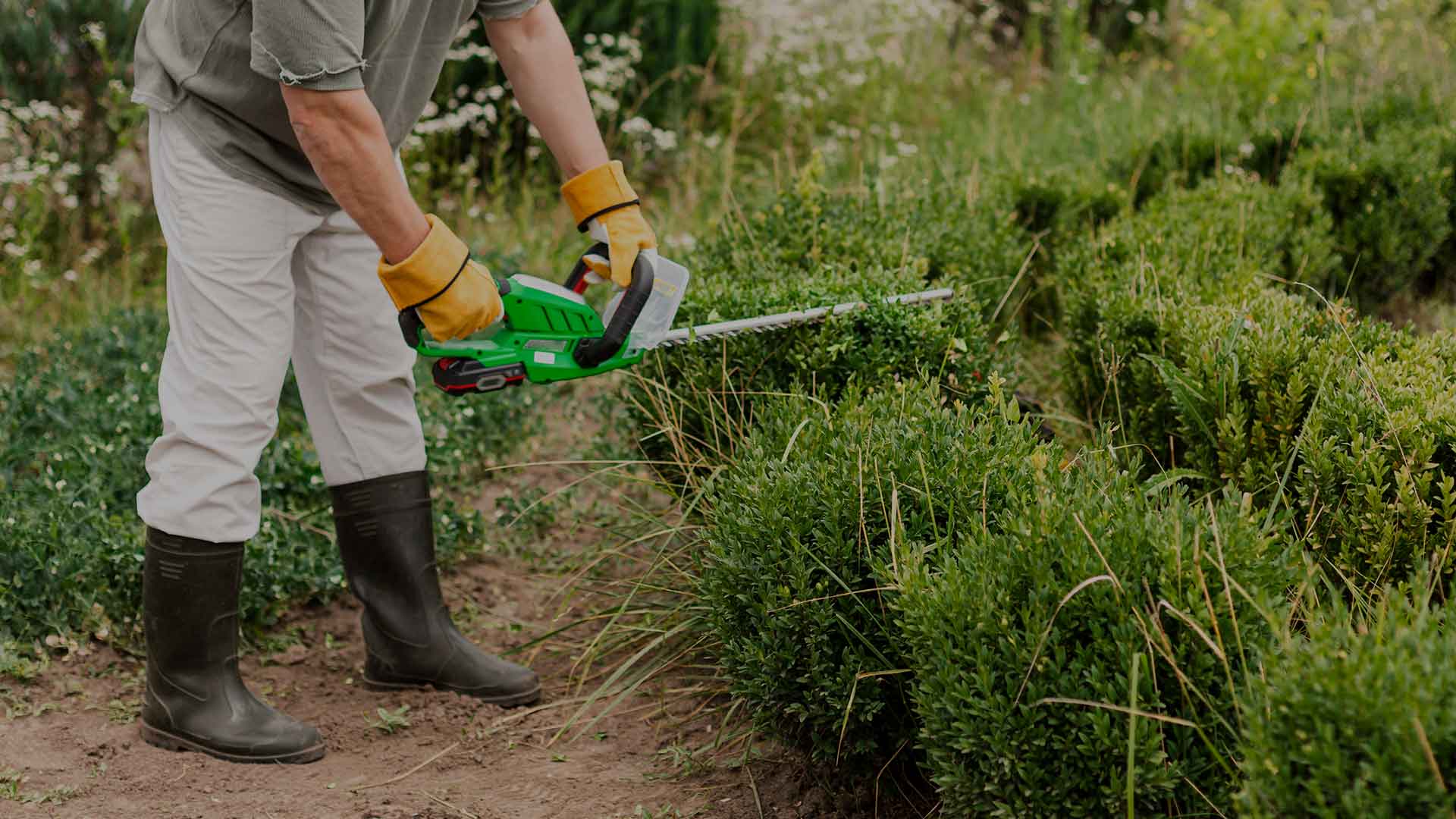 Complete Guide to Professional Lawn Care Services in New Jersey