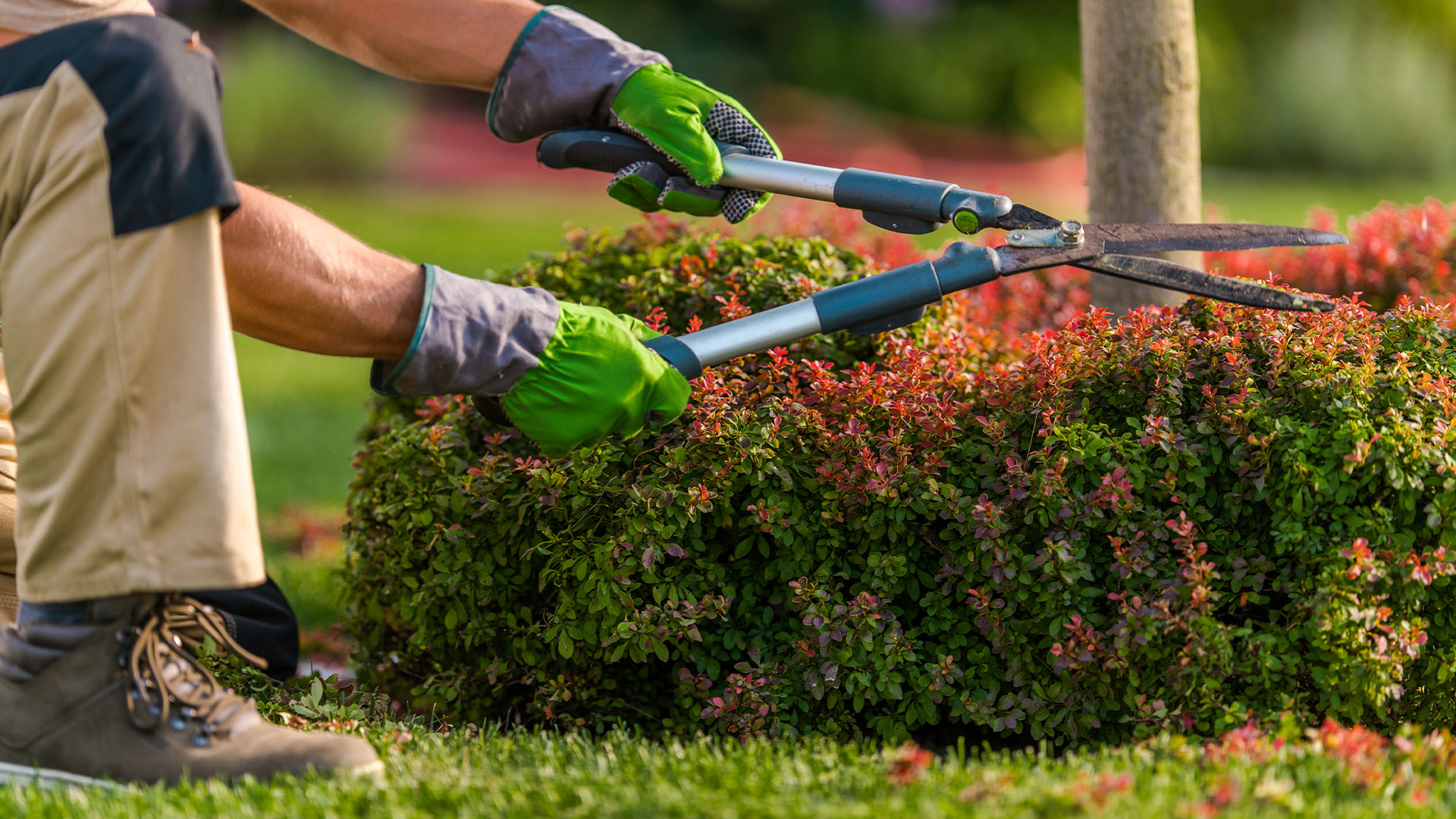 Landscaping Services New Brunswick NJ